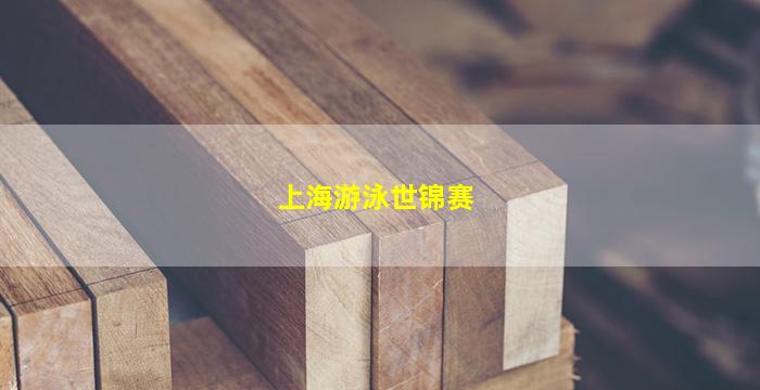 上海游泳世锦赛(上海游泳世锦赛奖牌)