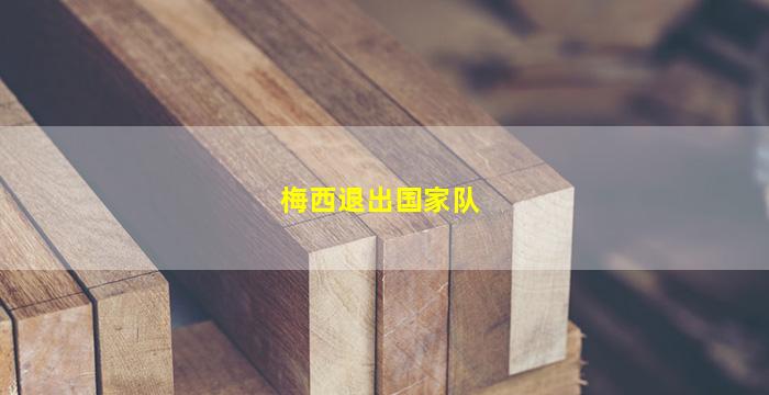 梅西退出国家队(梅西退出国家队为什么又加入了)