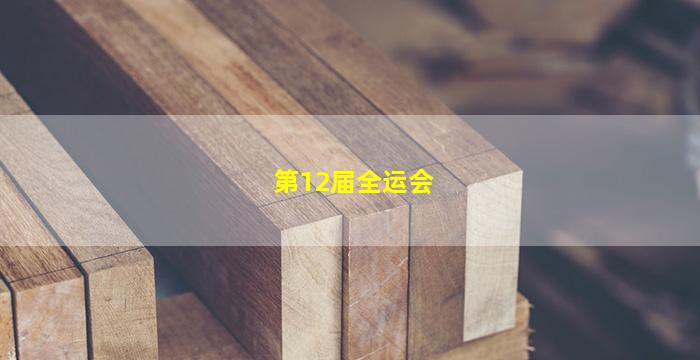 第12届全运会(第12届全运会上海代表团的成绩)