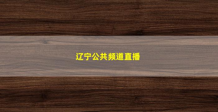 辽宁公共频道直播(辽宁公共频道直播app)