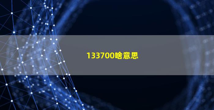 133700啥意思