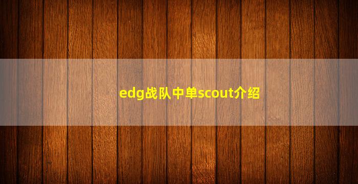 edg战队中单scout介绍
