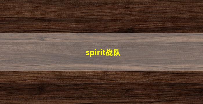 spirit战队