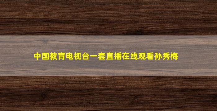 中国教育电视台一套直播在线观看孙秀梅