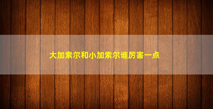 大加索尔和小加索尔谁厉害一点