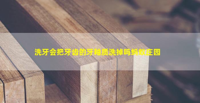 洗牙会把牙齿的牙釉质洗掉吗蚂蚁庄园