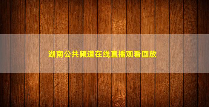 湖南公共频道在线直播观看回放