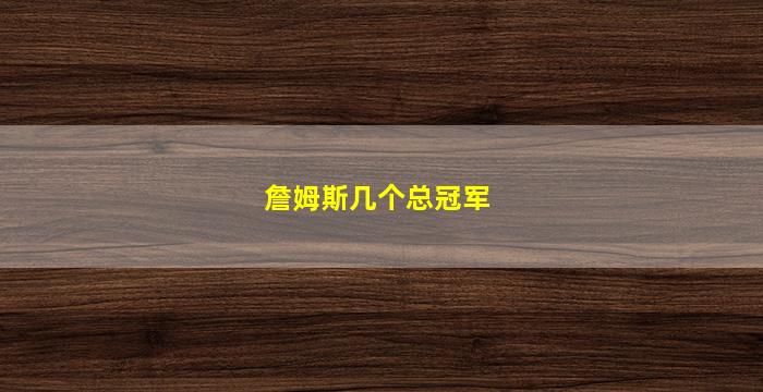 詹姆斯几个总冠军